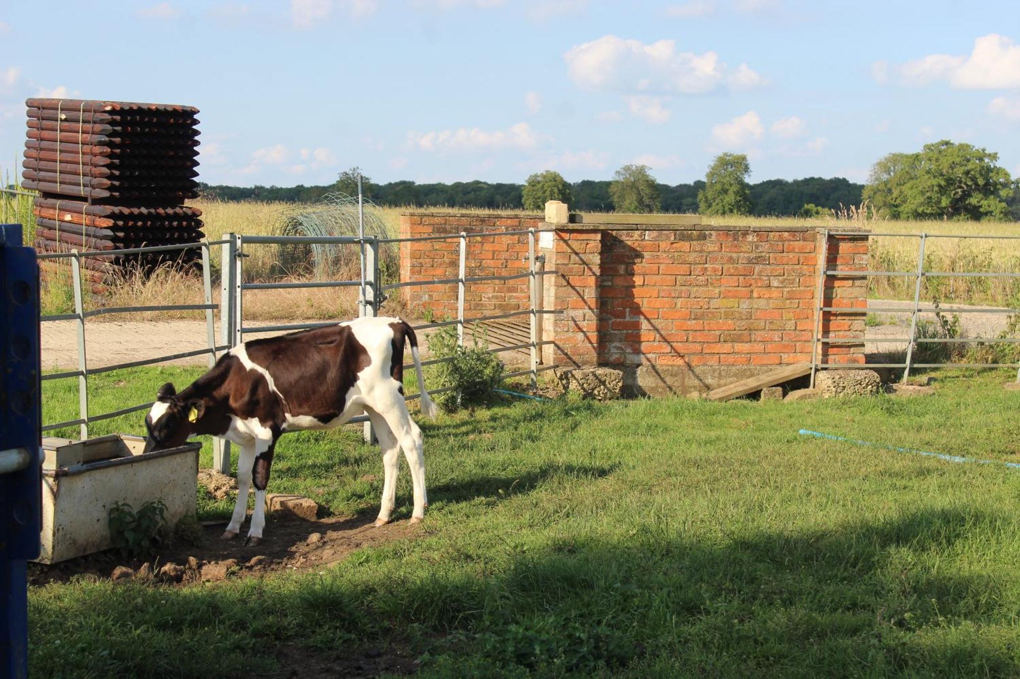 Parkfields Barns Self Catering Accommodation 白金汉 外观 照片