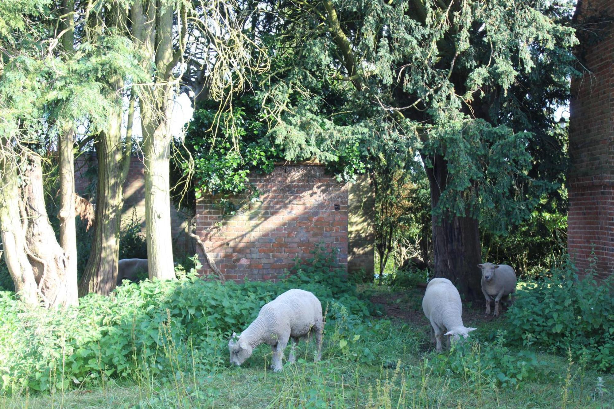 Parkfields Barns Self Catering Accommodation 白金汉 外观 照片