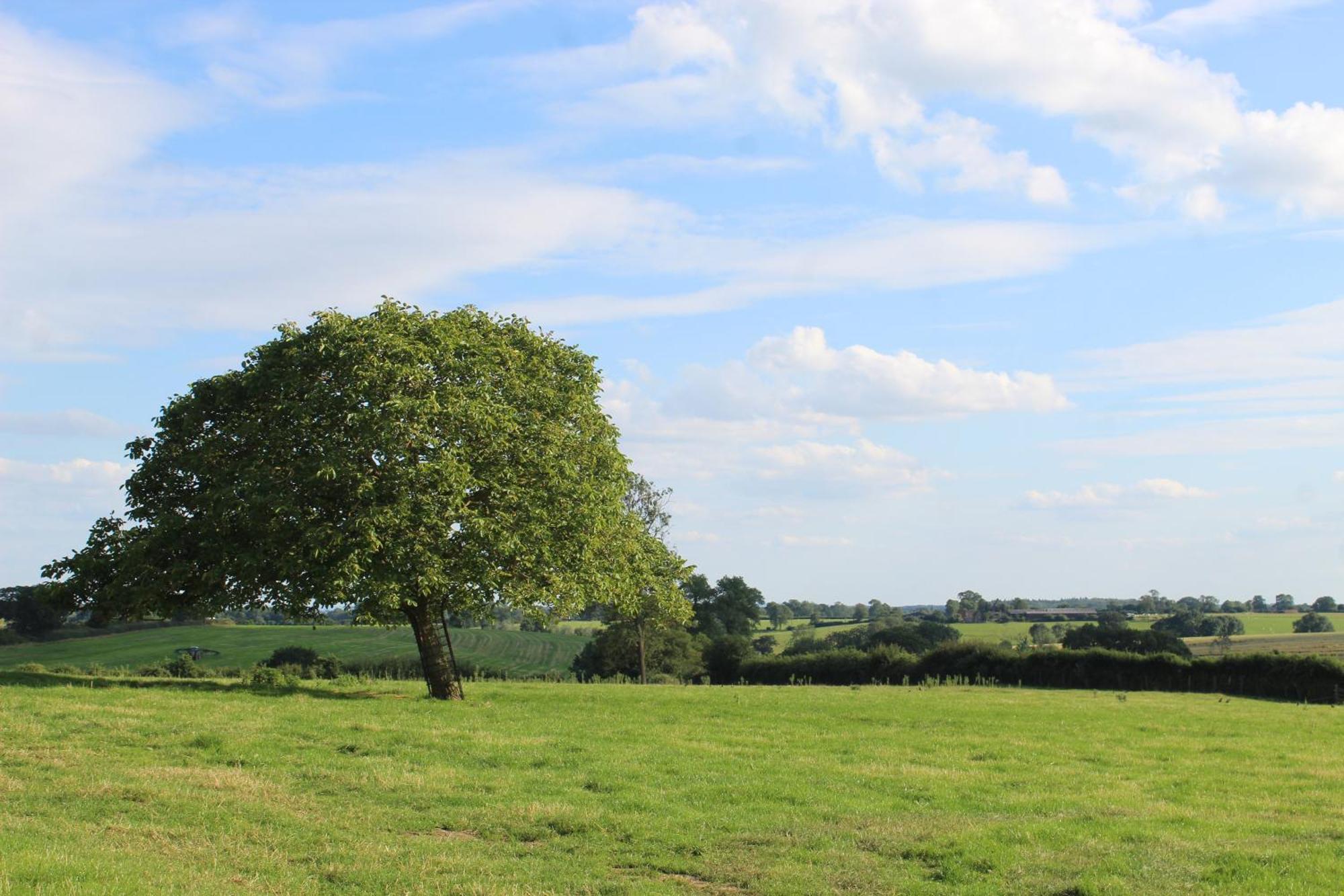 Parkfields Barns Self Catering Accommodation 白金汉 外观 照片
