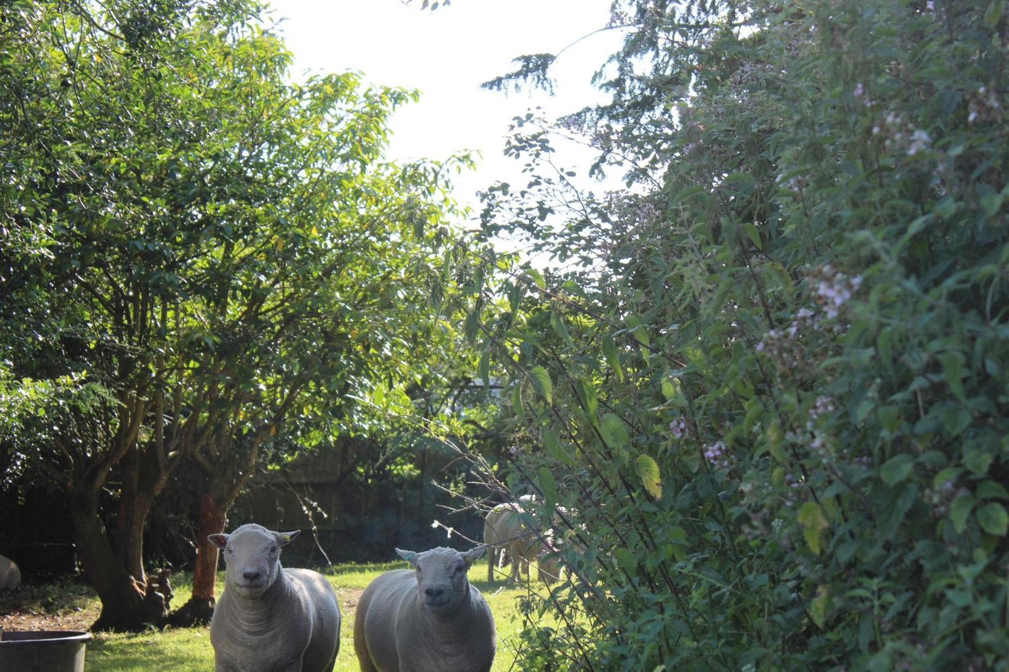Parkfields Barns Self Catering Accommodation 白金汉 外观 照片
