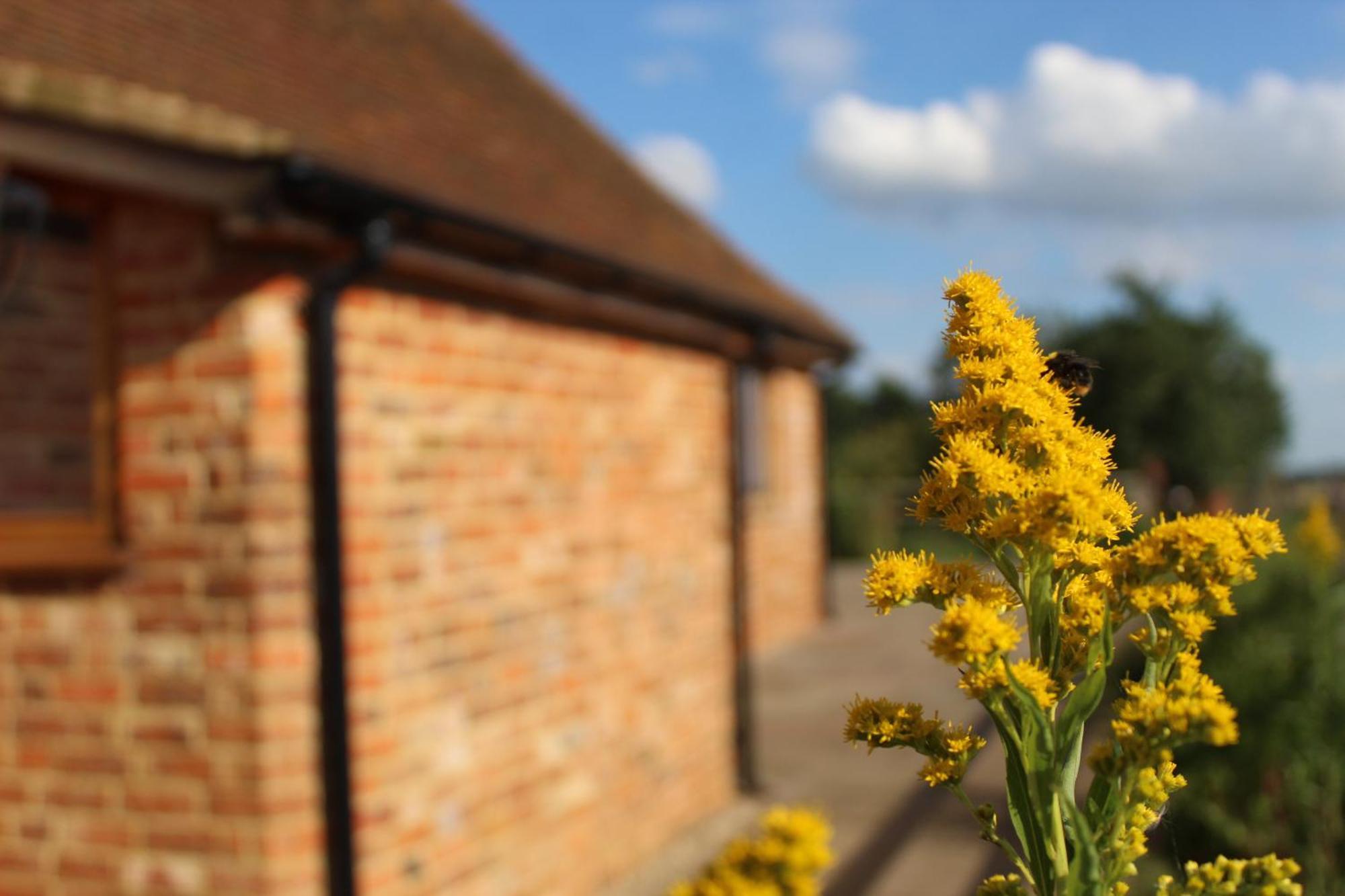 Parkfields Barns Self Catering Accommodation 白金汉 外观 照片